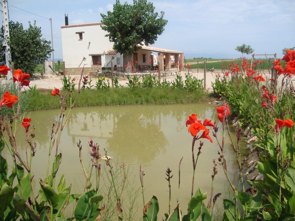 Holiday home Caseta Les Creus Riumar
