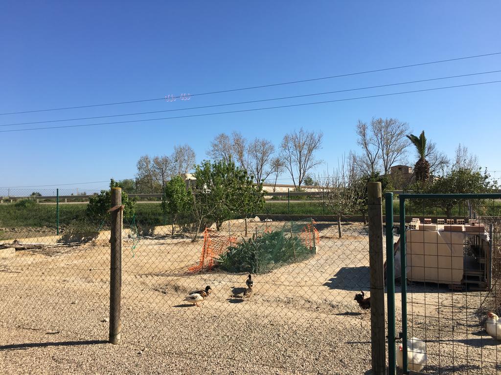 Caseta Les Creus *